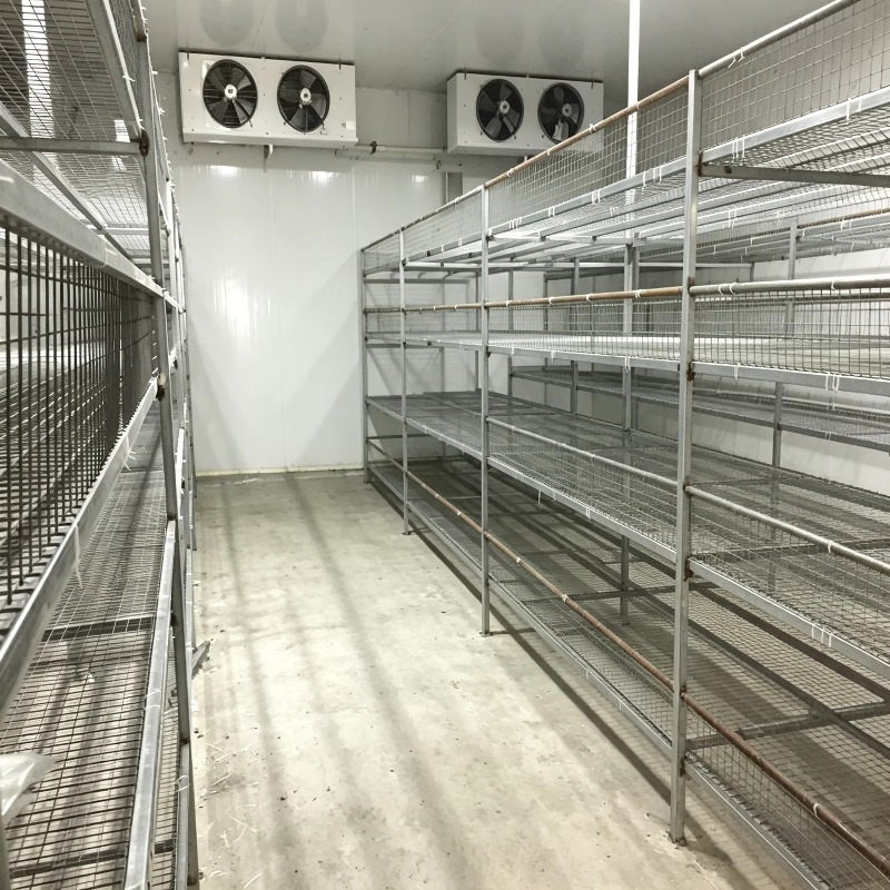 ฟาร์มปลูกพืชแบบไฮโดรโปนิกส์ในภ - Urban Farming Projects บทวิจารณ์และราคา