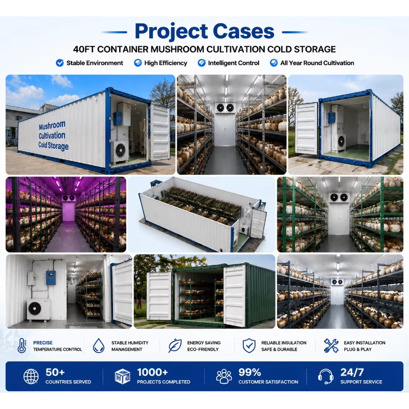 ฟาร์มปลูกพืชแบบไฮโดรโปนิกส์ในภ - Urban Farming Projects บทวิจารณ์และราคา