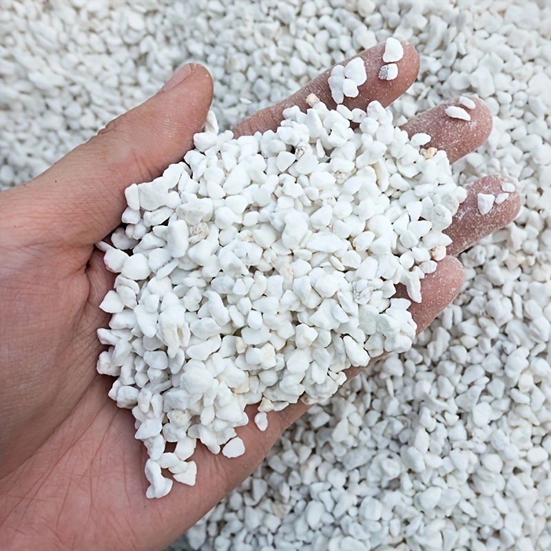 เพอร์ไลต์สำหรับเพาะชำ ขนาด 3-6 - Horticulture Soil Perlite บทวิจารณ์และราคา